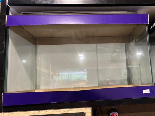 glass aquariums (purple box)