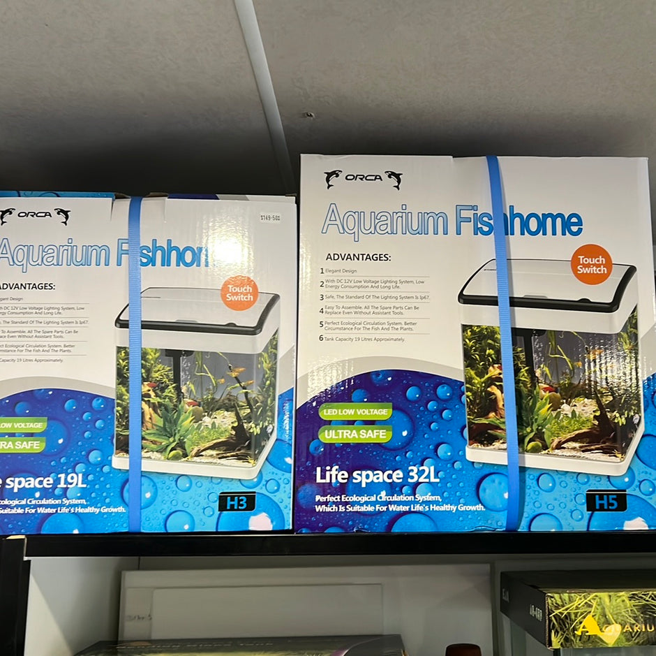 Buy Fish Tanks Online Tropical Aquarium