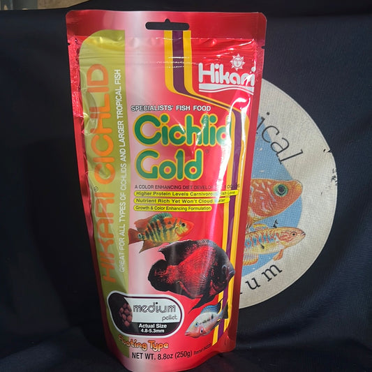 Hikari Cichlid Gold Medium
