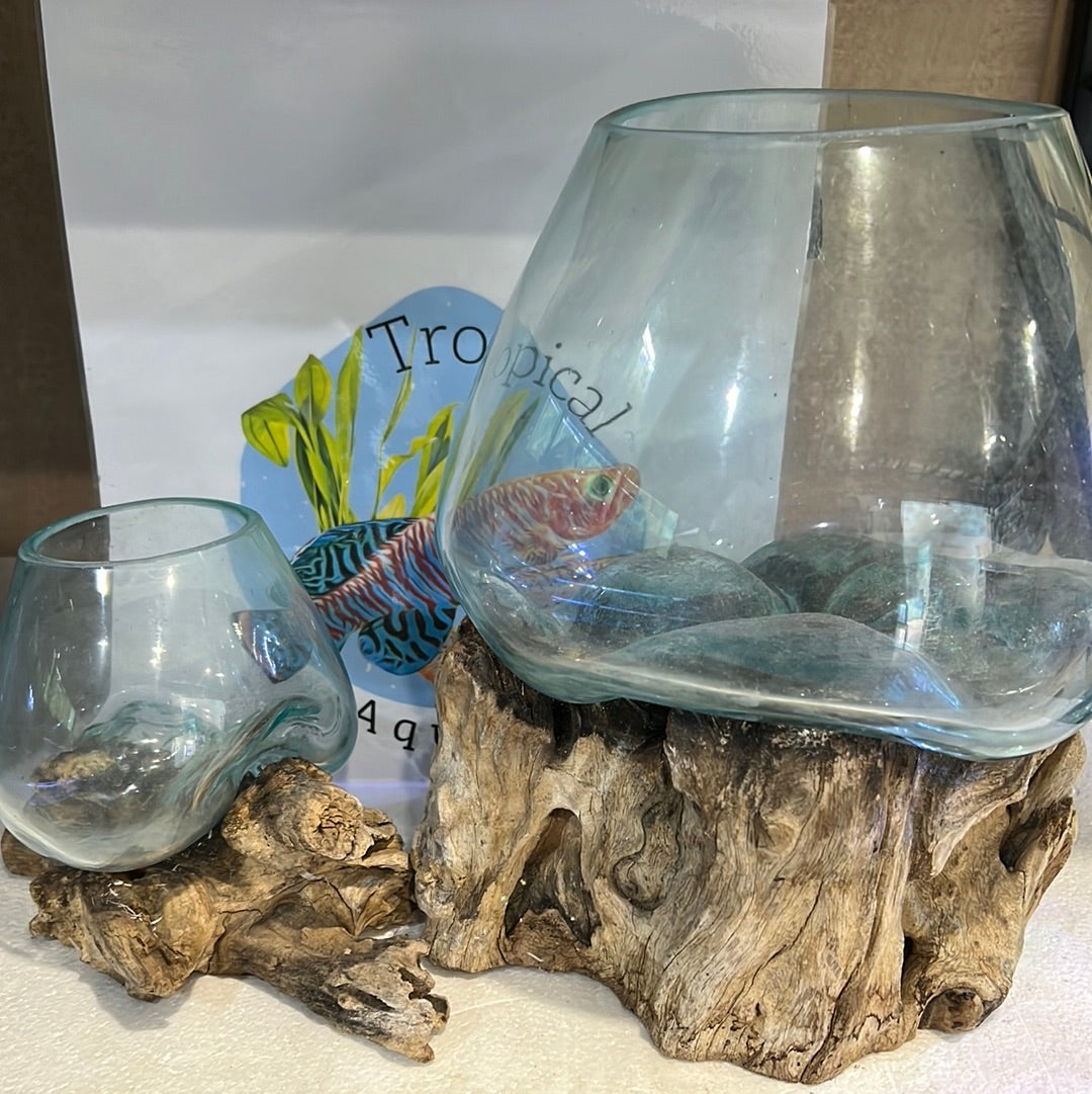 Glass fish bowls on wood