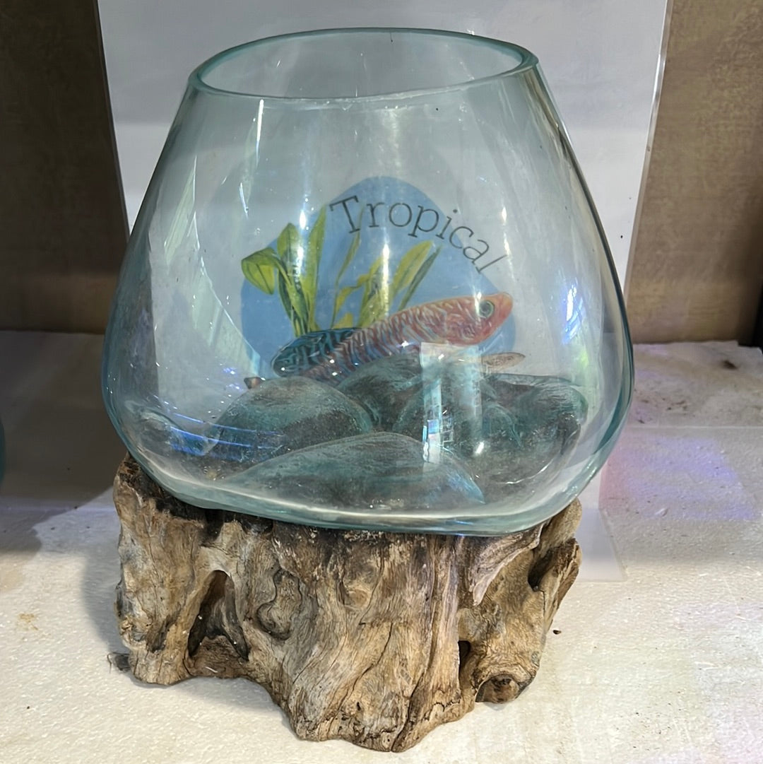 Glass fish bowls on wood