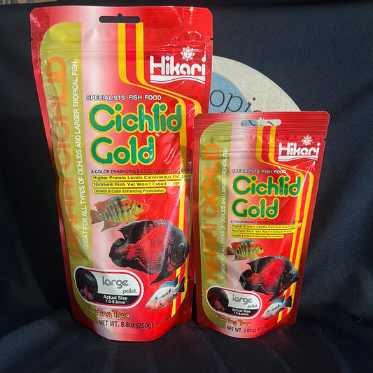 Hikari Cichlid Gold Large