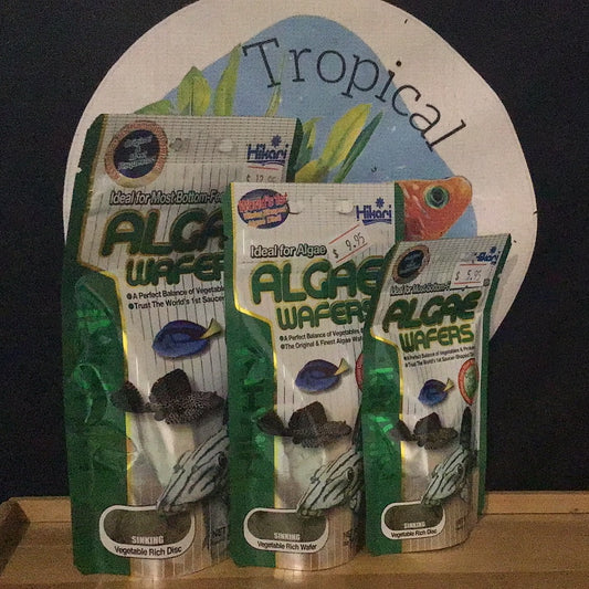 Hikari Algae Wafers