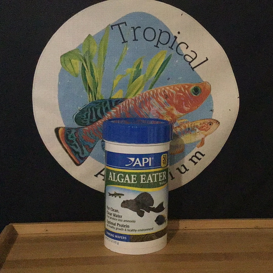 API Algae Eater Wafers – Tropical Aquarium