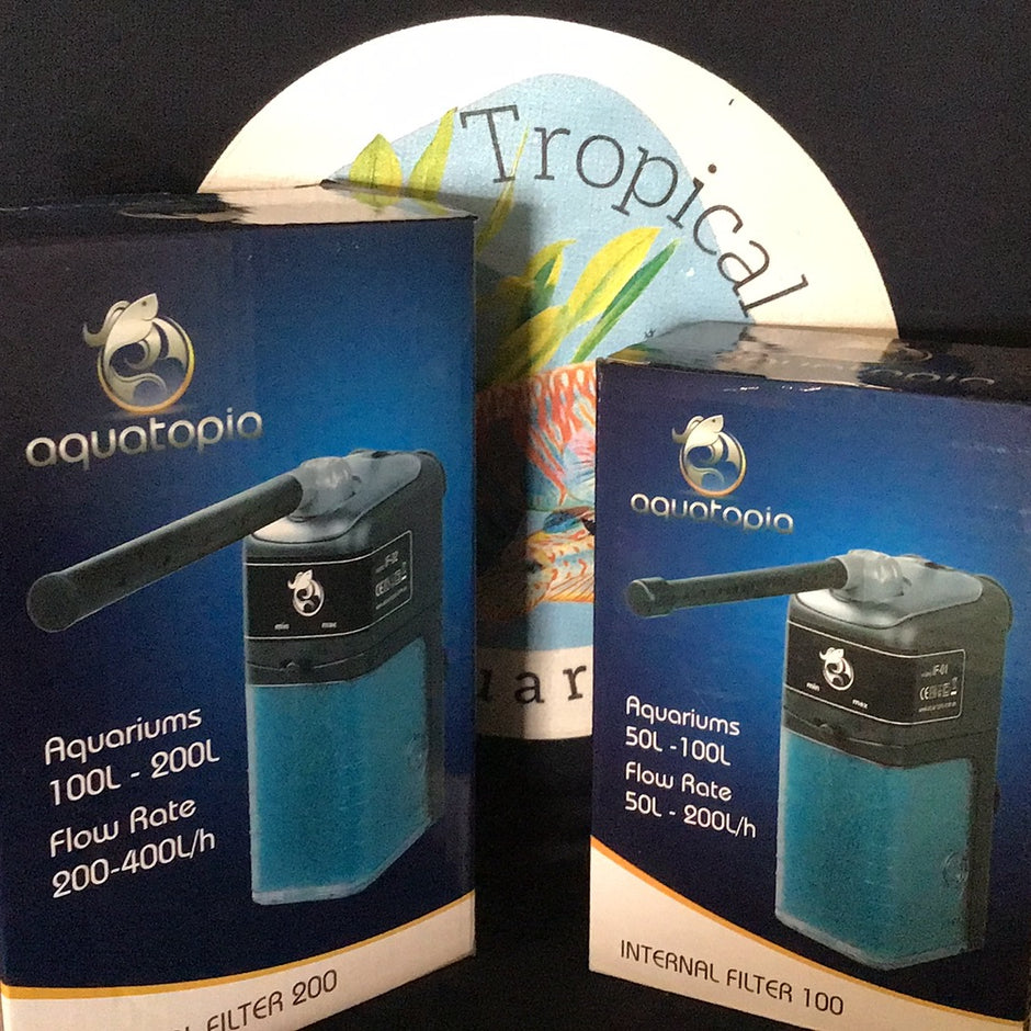 Picture of Buy Fish Tank Accessories Online – Tropical Aquarium