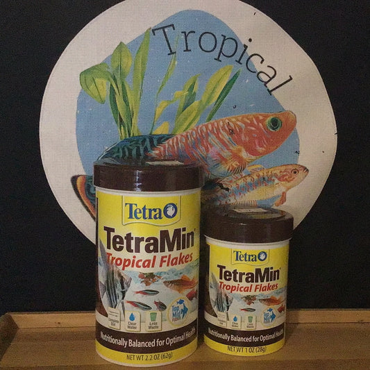 Tetra Mini Tropical Flakes